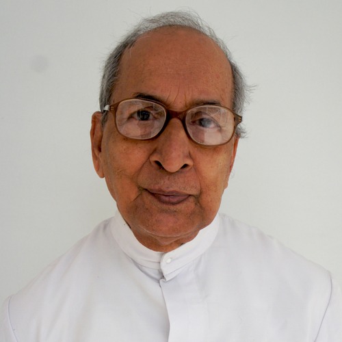 Rev. Fr. John Fisher Painadath CMI (92)